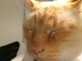 image-20140221151754.png